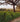 Cork forest in Portugal