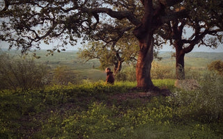 Man meditating in forest with trees