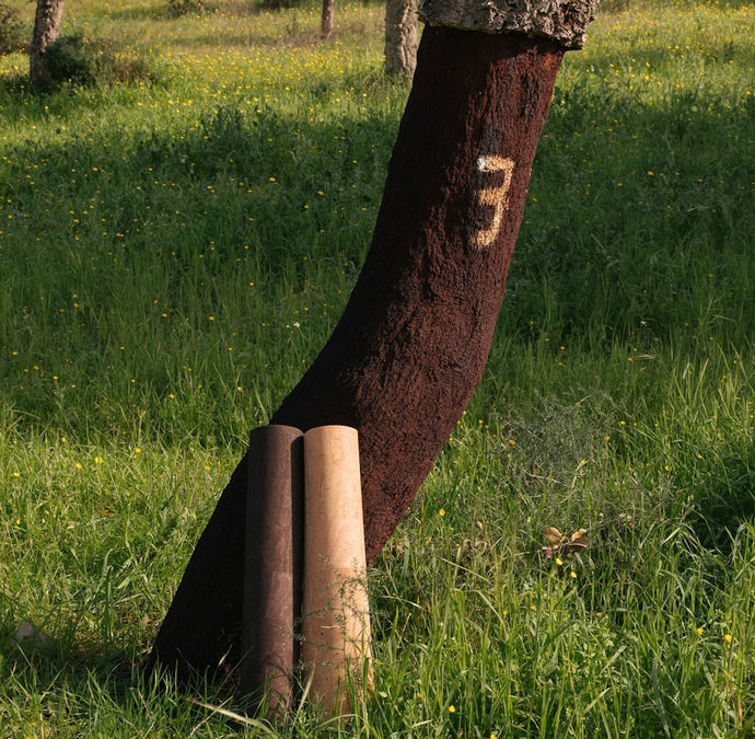 cork yoga mats rolled up against cork tree in Portugal cork forest