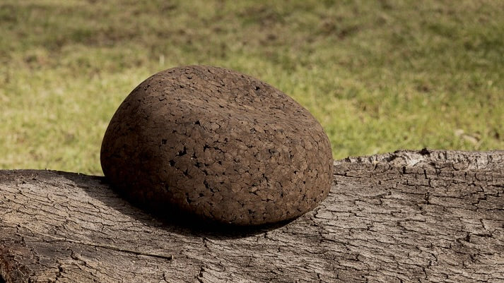 Rituil non-toxic meditation seat on top of tree