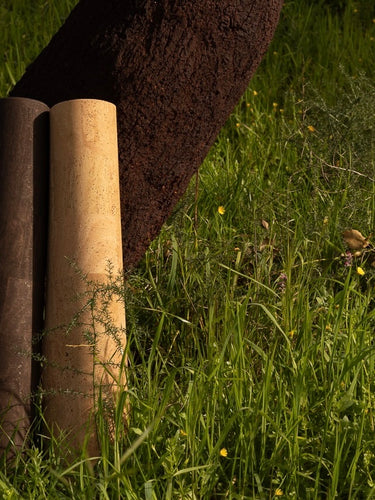 sustainable cork yoga mats with trees